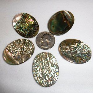 Abalone Shell Lot, Polished, 40 x 30 mm, 5 pc